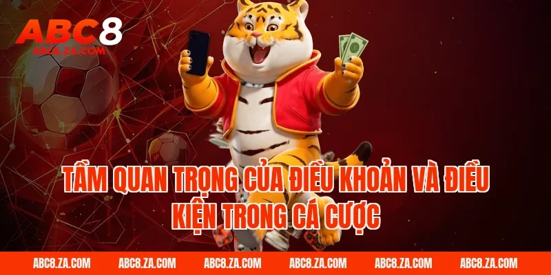 Tầm Quan Trọng Của Điều Khoản Và Điều Kiện Trong Cá Cược